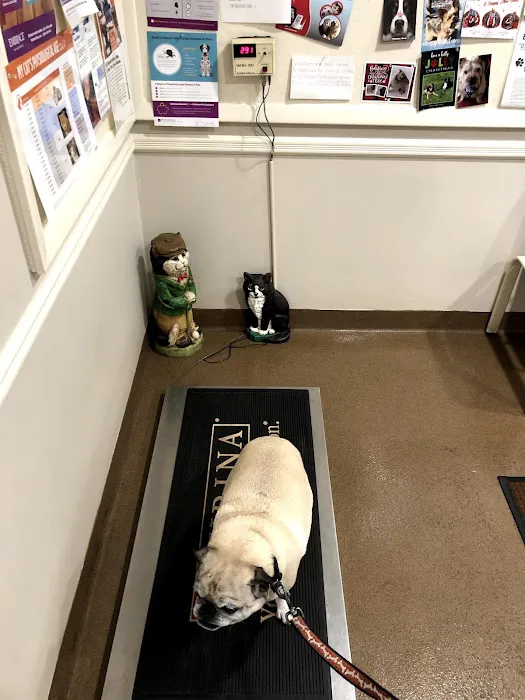 Roosevelt Animal Hospital 6