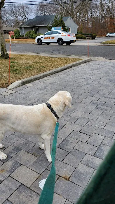 Roosevelt Animal Hospital 8