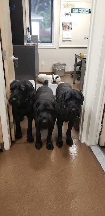 Roosevelt Animal Hospital 1