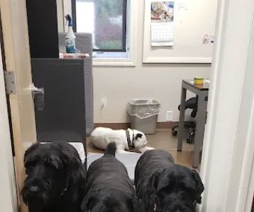 Roosevelt Animal Hospital
