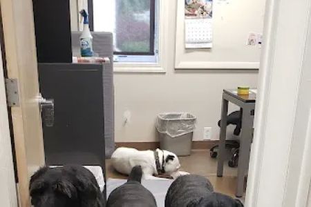 Roosevelt Animal Hospital