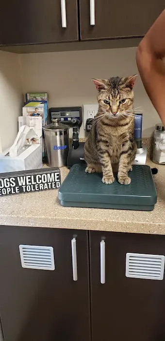 Roosevelt Animal Hospital 2