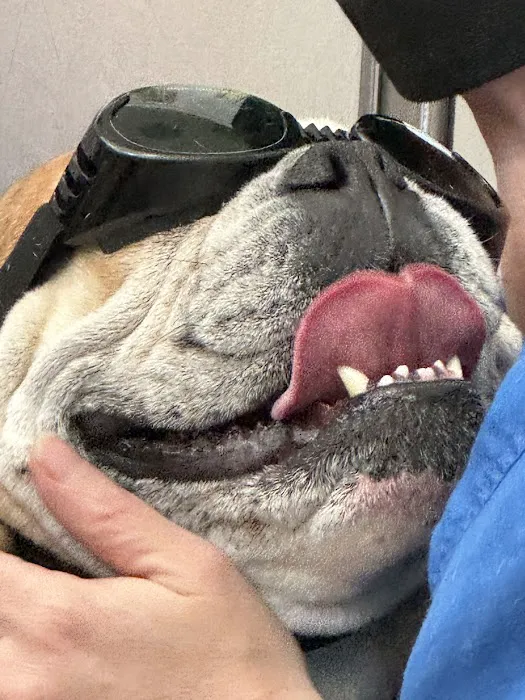 Suffolk Veterinary Group Animal Wellness & Laser Surgery Center 12