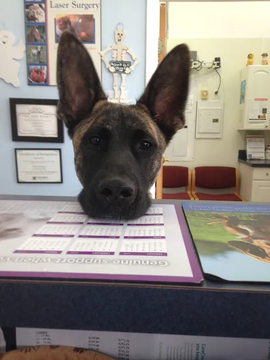 Suffolk Veterinary Group Animal Wellness & Laser Surgery Center 12