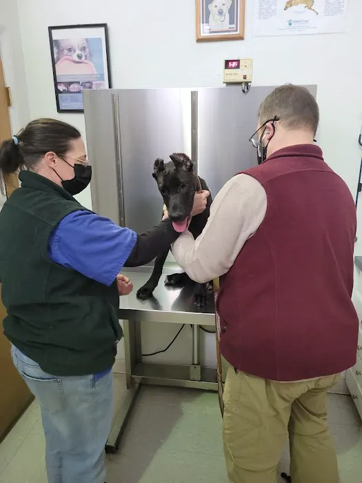 Suffolk Veterinary Group Animal Wellness & Laser Surgery Center 12