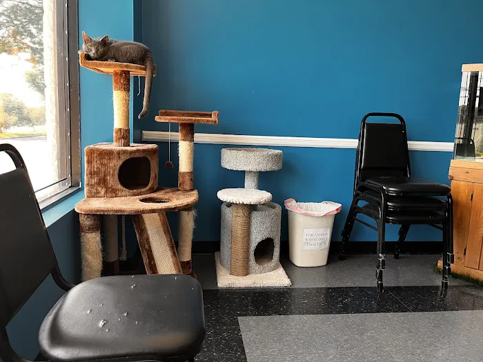 Affordable Vet Care of Brookhaven 12