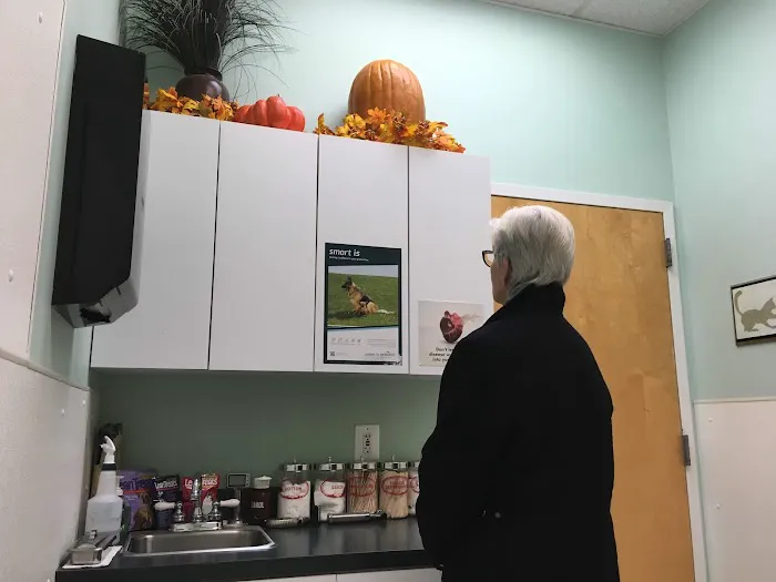 Mt Sinai Animal Hospital 12