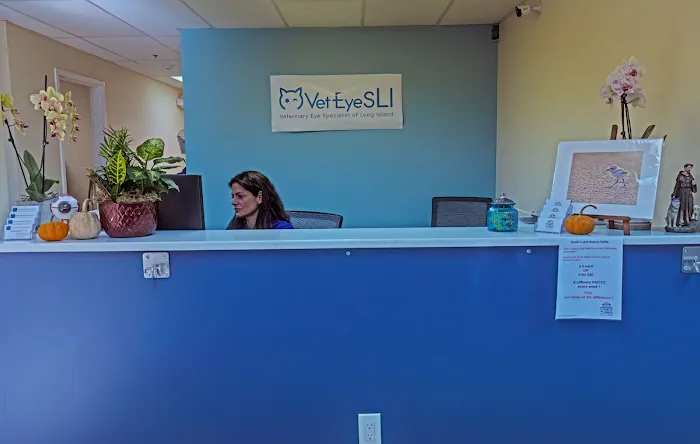 Veterinary Eye Specialist of Long Island 12