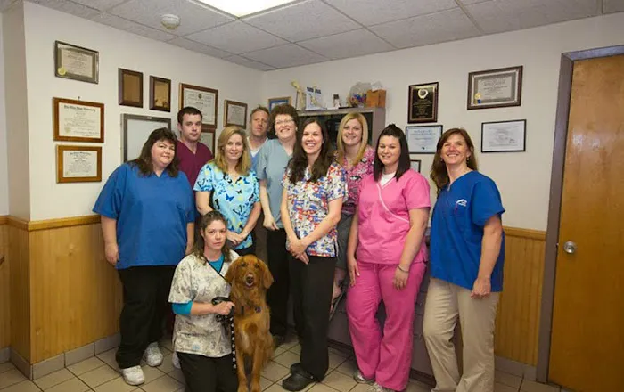 VCA Farmingville Animal Hospital 3