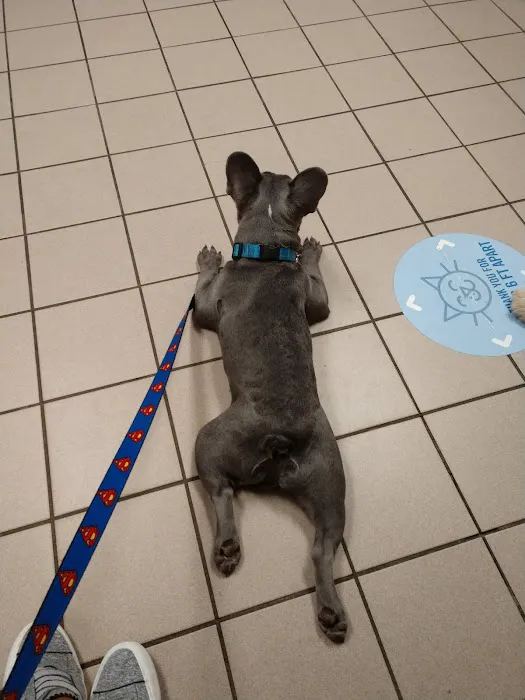 VCA Farmingville Animal Hospital 6
