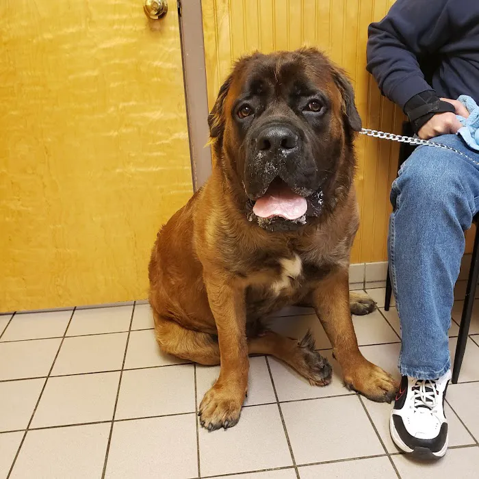 VCA Farmingville Animal Hospital 7
