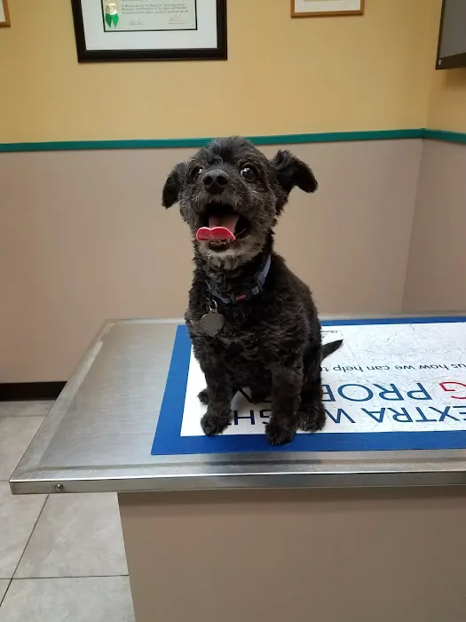 Island Veterinary Hospital 5