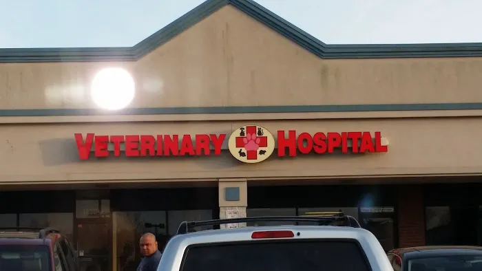 Island Veterinary Hospital 2