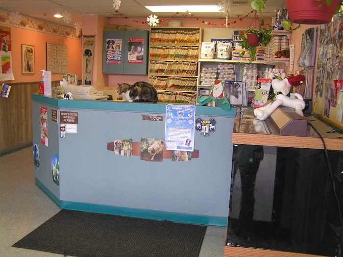 Island Veterinary Hospital 4