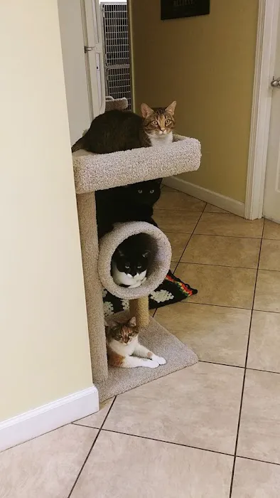 Mount Carmel Pet Hospital 2