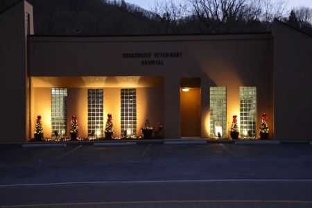 Broadwater Veterinary Hospital