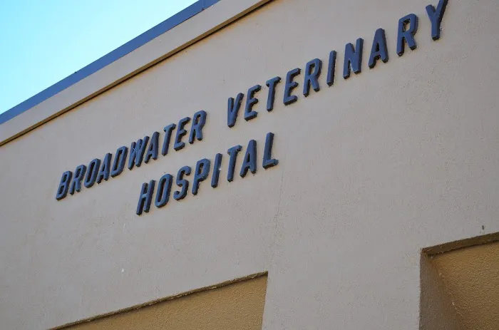Broadwater Veterinary Hospital 4