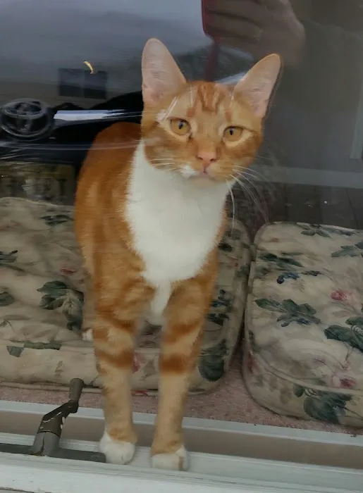 Meadowview Veterinary Urgent Care 4