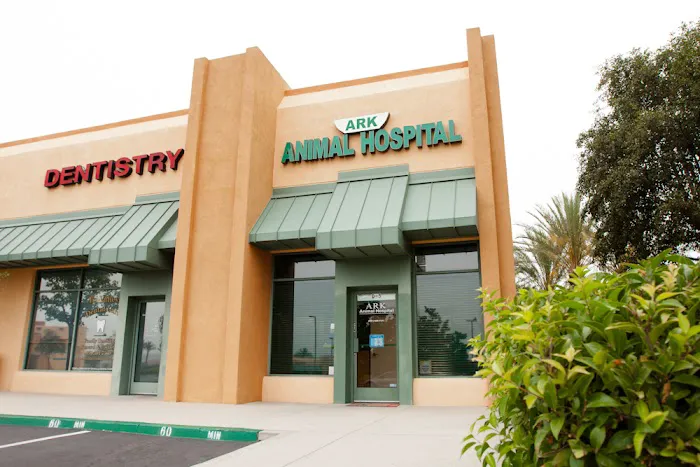 Ark Animal Hospital 10
