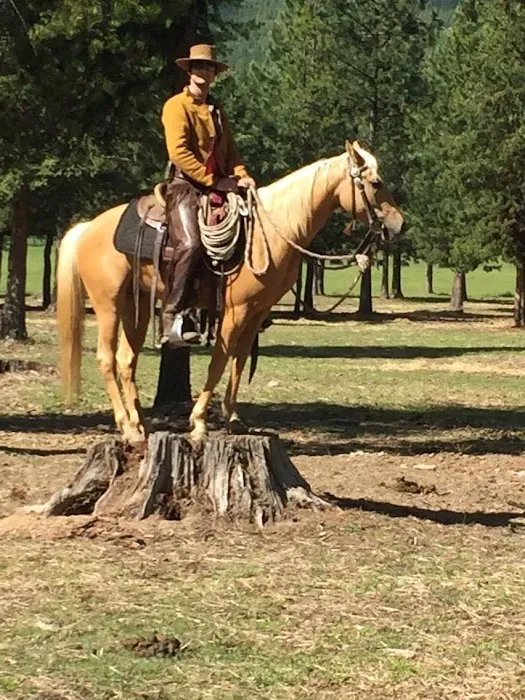 Murrieta Equine Associates 2