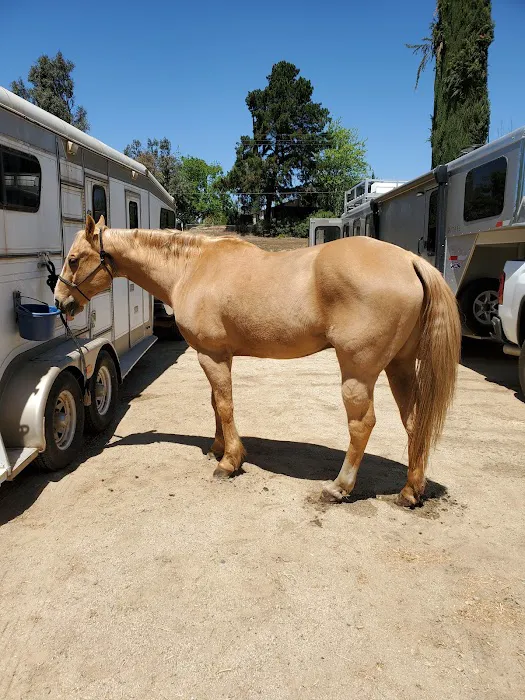 Murrieta Equine Associates 5