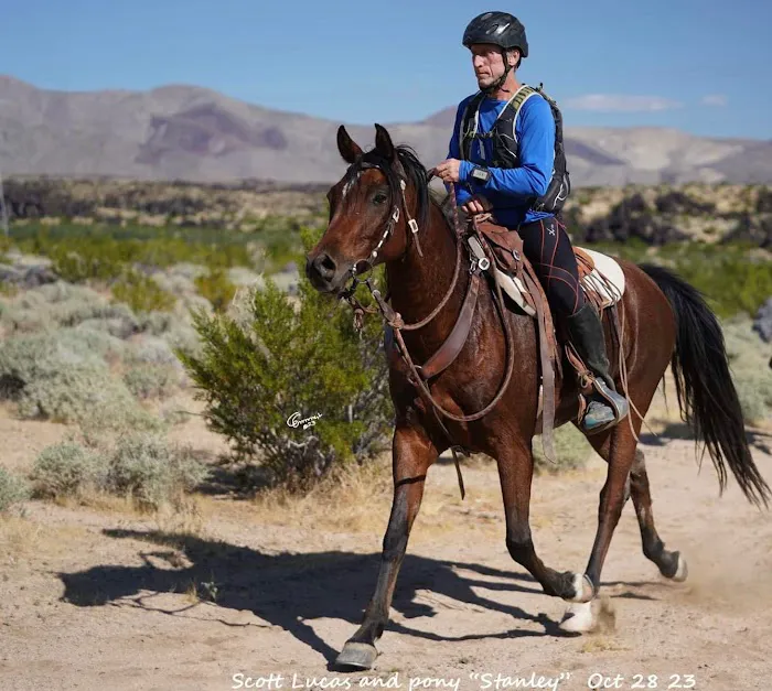 Murrieta Equine Associates 3