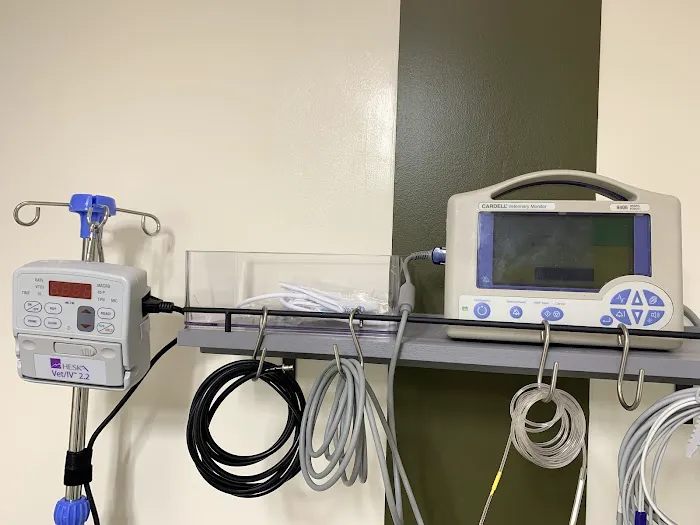 Medfurbish 1