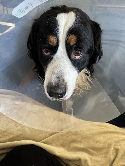 Meadowridge Animal Hospital 1