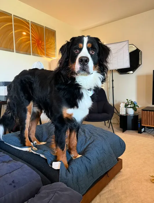 Meadowridge Animal Hospital 9