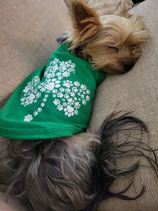 Meadowridge Animal Hospital 8