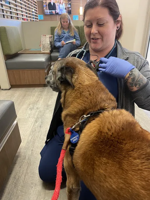 VCA California Veterinary Specialists-Murrieta 1