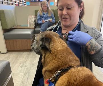 VCA California Veterinary Specialists-Murrieta
