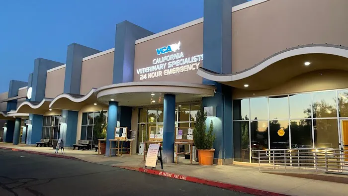 VCA California Veterinary Specialists-Murrieta 8