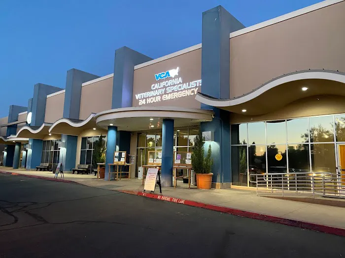 VCA California Veterinary Specialists-Murrieta 10