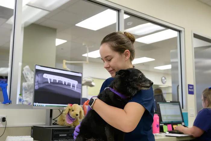 VCA California Veterinary Specialists-Murrieta 7