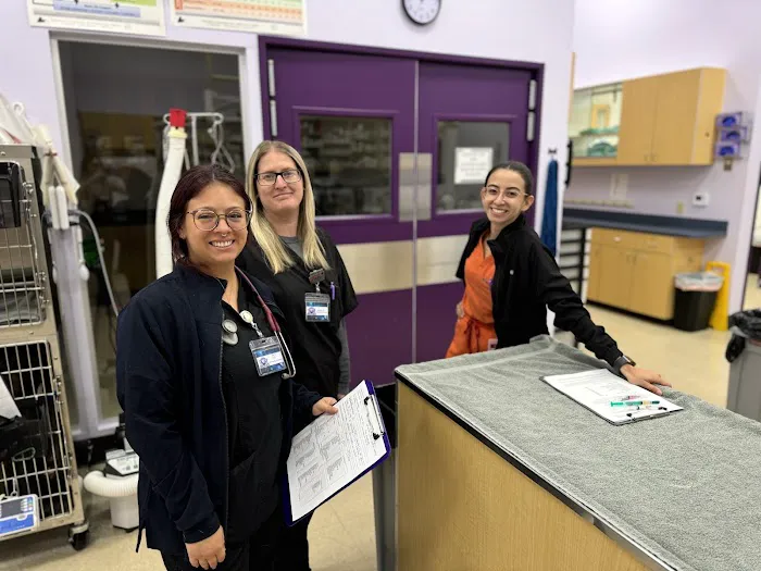 SoCal Pet Hospital 3