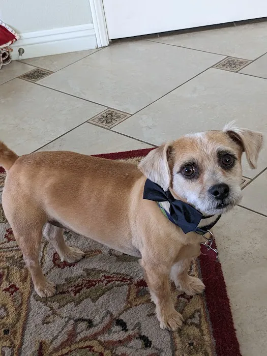 SoCal Pet Hospital 9