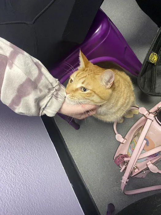 SoCal Pet Hospital 10