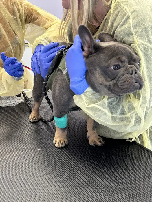 SoCal Pet Hospital 7