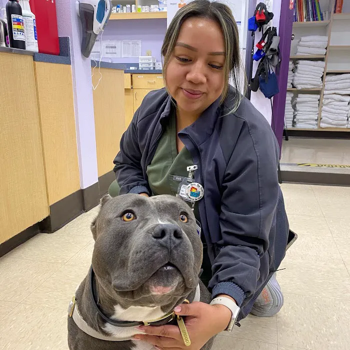 SoCal Pet Hospital 8