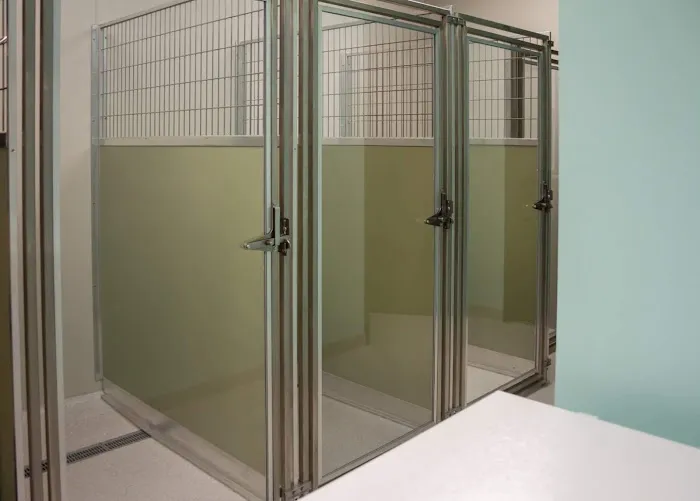 Murrieta Family Pet Hospital 4