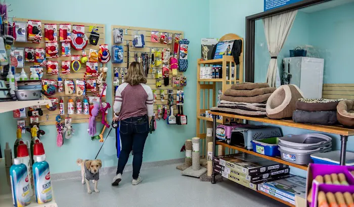 Murrieta Family Pet Hospital 1