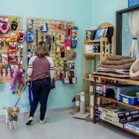 Murrieta Family Pet Hospital ico