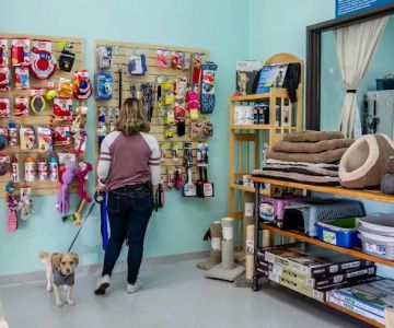 Murrieta Family Pet Hospital
