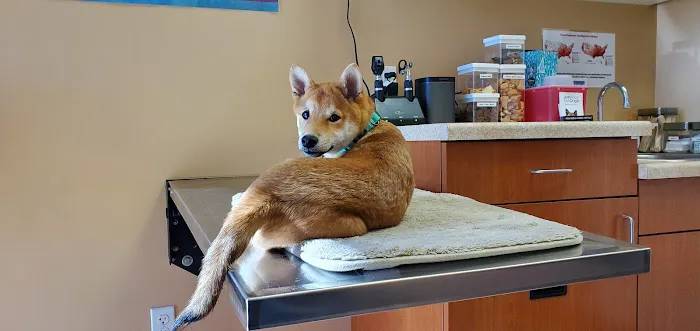 Murrieta Family Pet Hospital 6