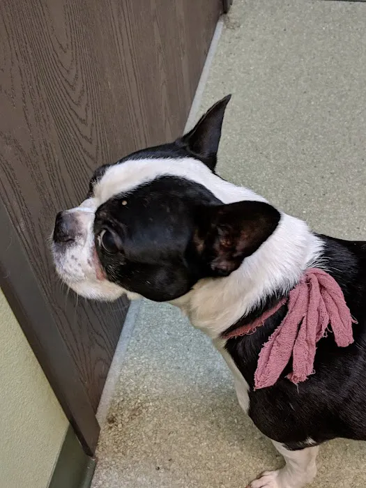 French Valley Veterinary Hospital 2
