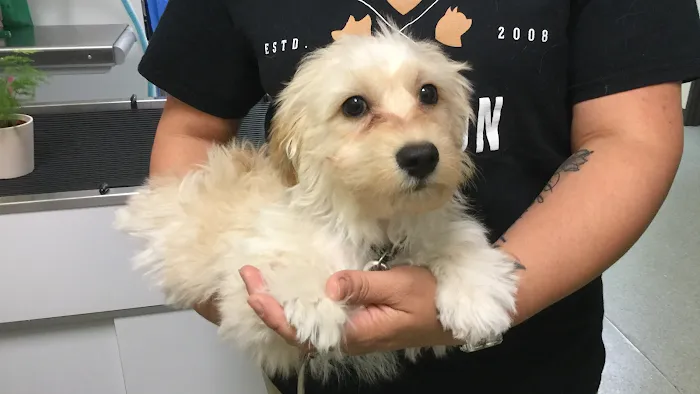 French Valley Veterinary Hospital 10