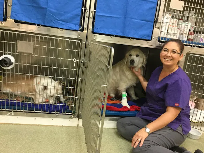 French Valley Veterinary Hospital 8