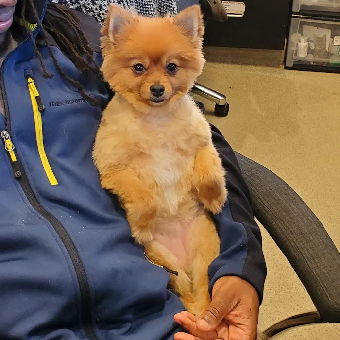 Southport Veterinary Center 12