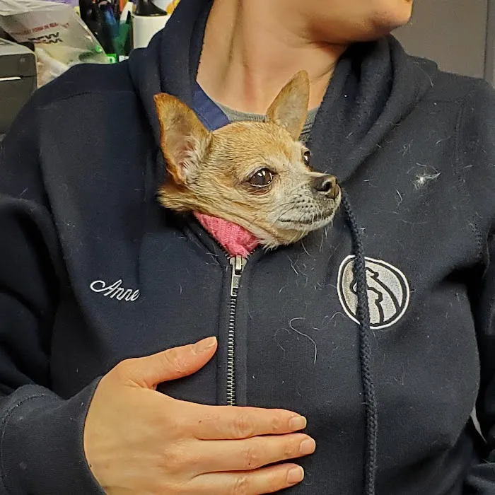 Southport Veterinary Center 12